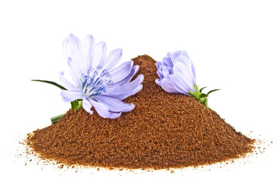 蓝色菊苣花和即食菊苣粉，分离在白色背景上。Cichorium intybus。