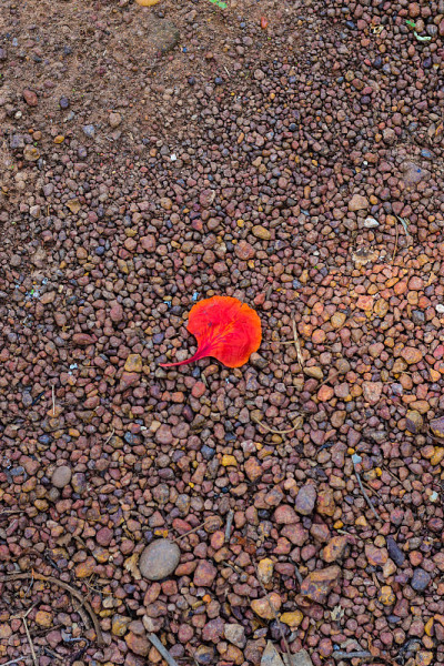 背景来自砾石和石头