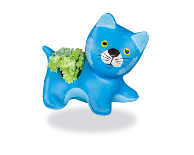 陶瓷蓝猫孤立在白色背景。