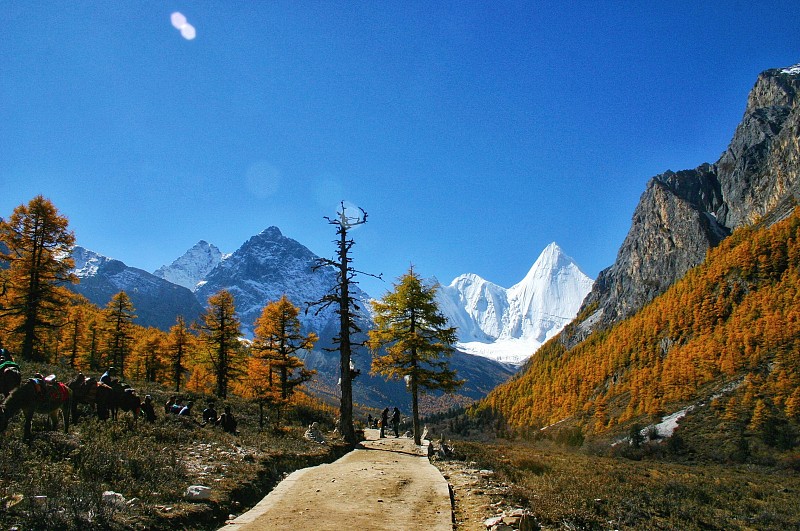 美丽的山景
