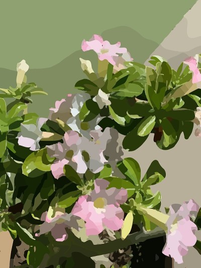 矢量粉调沙漠花