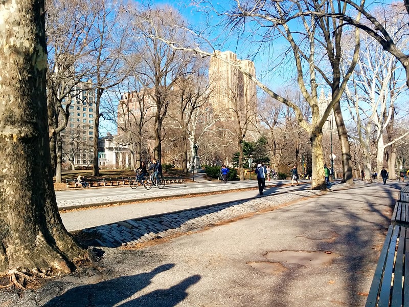 纽约曼哈顿中央公园的秋景