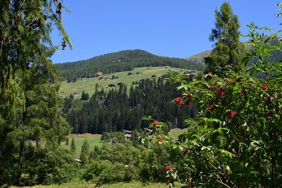 夏天在Pusteria