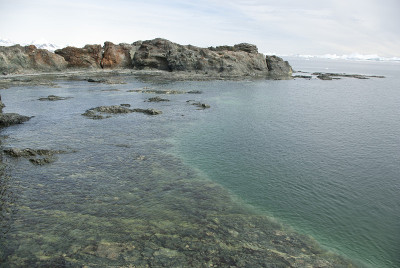 夏日的南极群岛海岸。