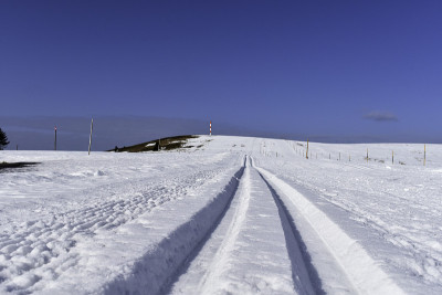 德国费尔德伯格越野滑雪道。