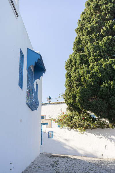 Sidi Bou Said，突尼斯