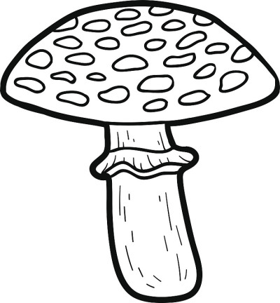 彩色的书。不能吃的蘑菇,鹅膏