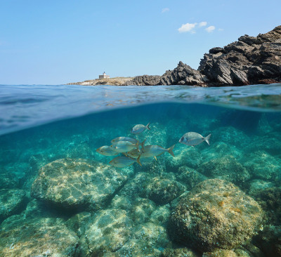 西班牙岩石海岸，水下有鱼