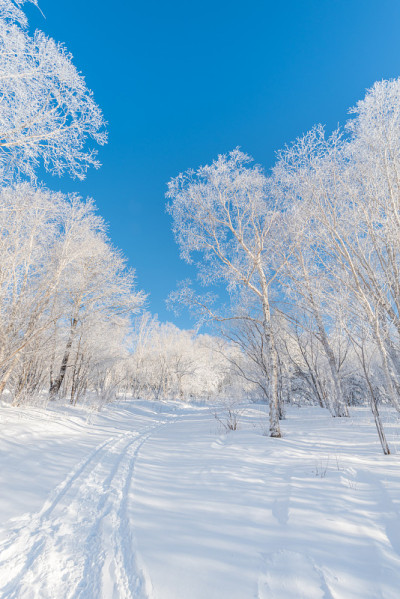 中国吉林省长白山冬季降雪和雾凇