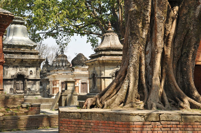 Pashupatinath寺
