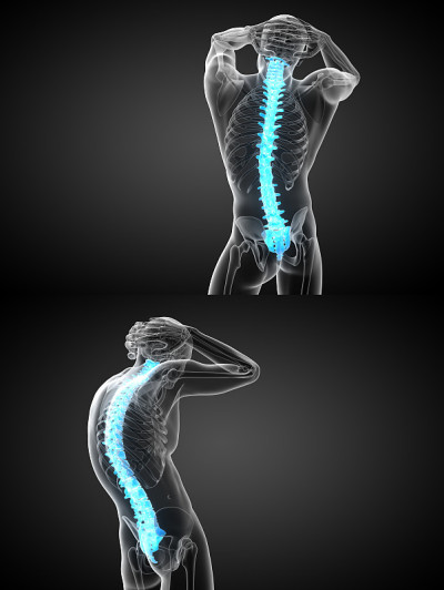 人体脊柱的3d渲染医学插图