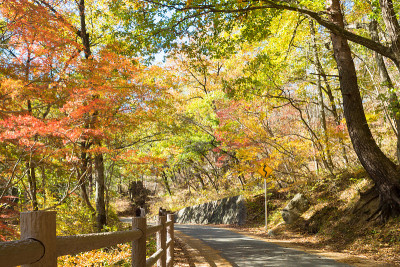 三竹谷的徒步旅行路
