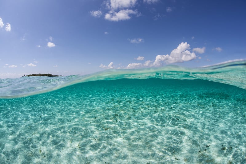 加勒比海的阳光和沙质海床