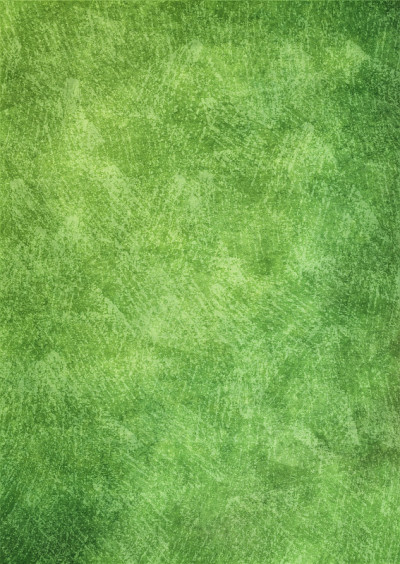 绿皮书背景