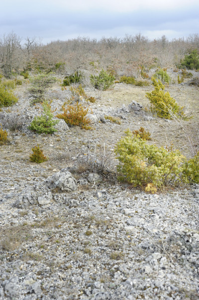 石灰石荒野风景