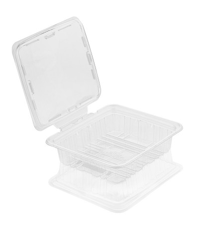 清空透明塑料食品容器