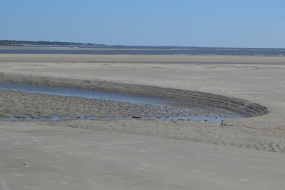 Gould's Inlet Low Tide圣西蒙斯岛佐治亚州