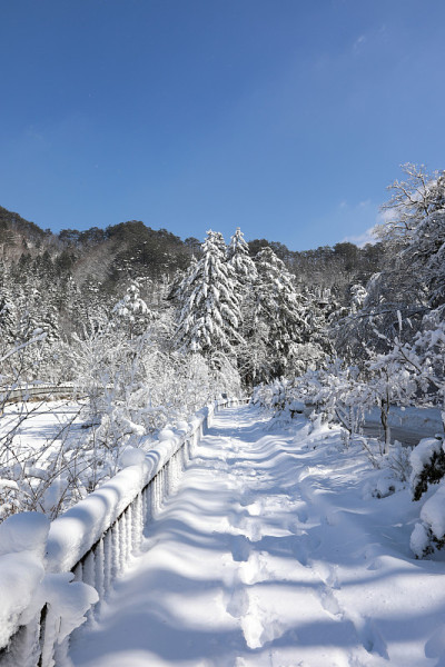 白雪皑皑的冬天，森林道路和蓝天。(韩国江原道御田山国家公园)