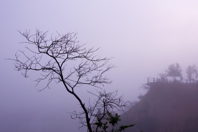 Pha Wing Chur峡谷日出雾