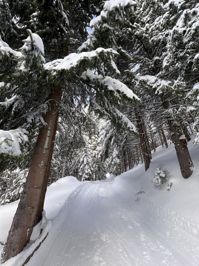 雪橇运行 凯勒约赫 拉切格 布鲁德瓦尔德 埃格特博登 施马德莱格 皮尔伯格 im 贝济克 施瓦茨 蒂