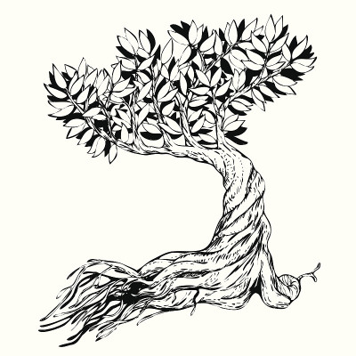 勾勒出盆景树。向量
