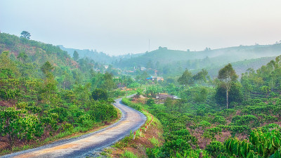 越南农村