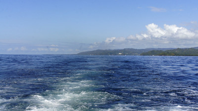海岸沙门