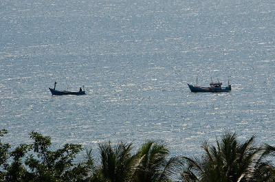 海