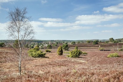 Radebach山谷在Lüneburg Heath。