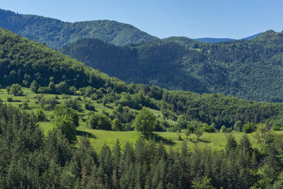 保加利亚普罗夫迪夫地区罗多普山区博罗沃村附近的绿色山丘景观