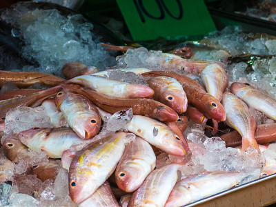 鱼市海鲜鱼贩罗非鱼(Oreochromis niloticus)
