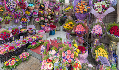 五颜六色的花店
