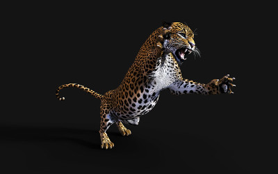 3d插图豹，豹帕德斯，老虎