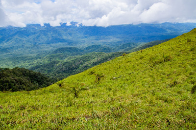 在泰国德省Doi Luang Tak雨季的观点和绿色的田野。