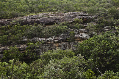 Serra da Capivara景观