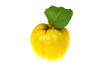 榅桲