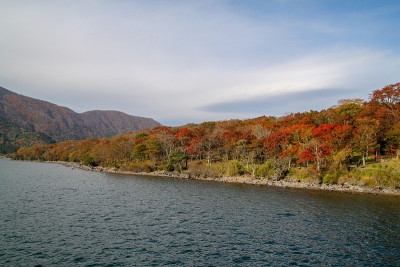 秋季日本阿什湖的风景山和森林变色叶