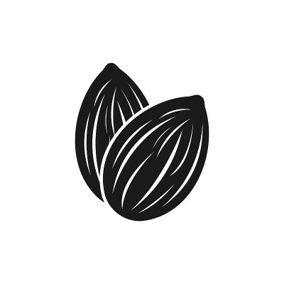 杏仁图标。坚果矢量插图孤立的白色背景。
