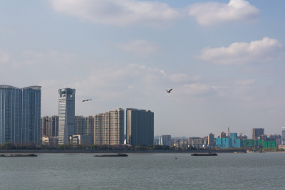 杭州钱塘江现代建筑景观摄影