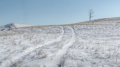 一条覆盖着积雪的狭窄乡村道路