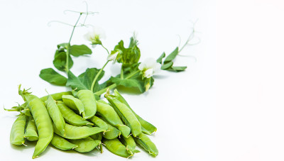 绿豌豆。布什