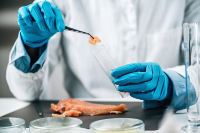生鸡肉及肉类食品安全实验室检验