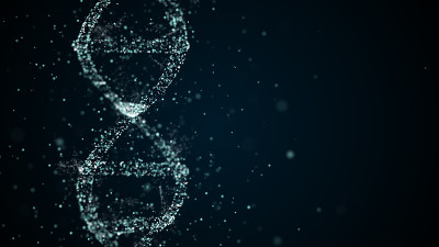 链dna分子在某些病毒或其他因素影响下的修饰