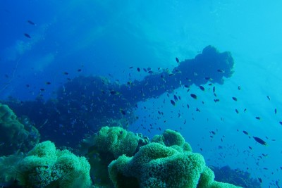 Famous wreck ship Fujikawa maru in Truk lagoon