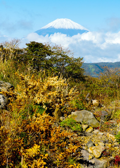 富士山