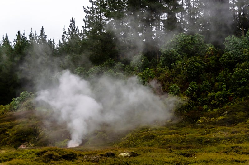 来自新西兰陶波月球陨石坑地热田的蒸汽