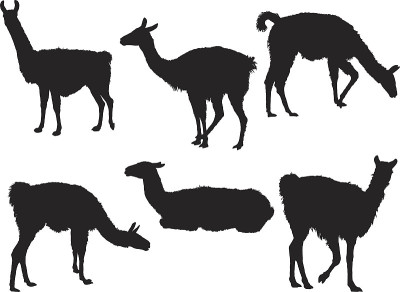 叫做silhouettes
