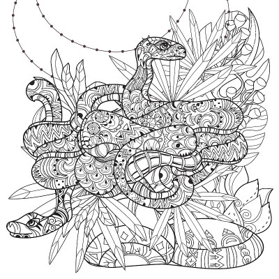手绘涂鸦轮廓蟒蛇。