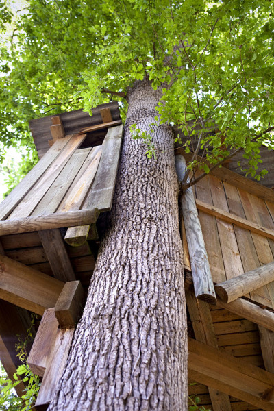 小屋