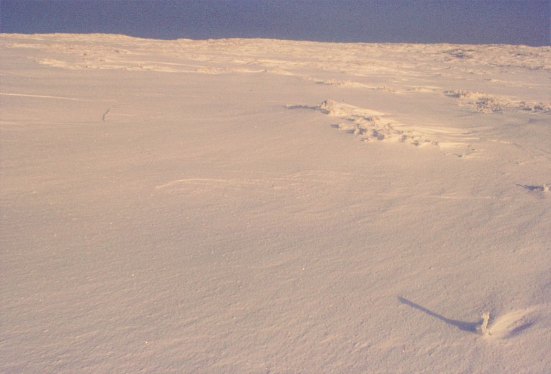 都柏林山上的雪